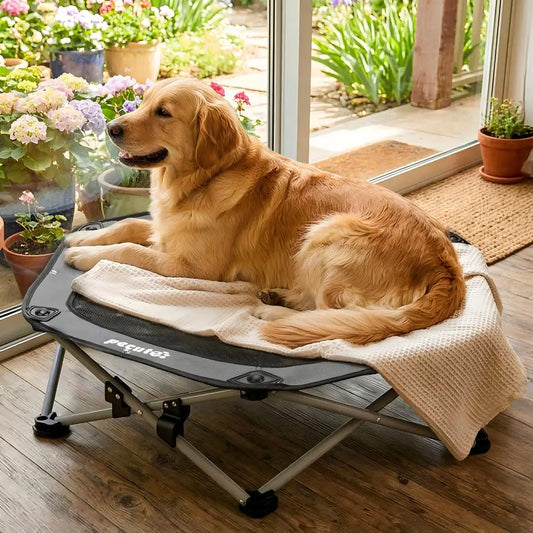Pecute Foldable Elevated Dog Bed with Cooling Mat & Breathable Mesh,Orthopedic Pet Cot for Joint Support, Non-Slip Washable, Portable for Home & Travel, Anxiety Relief for Small Dogs/Cats (Coupon Eligible)